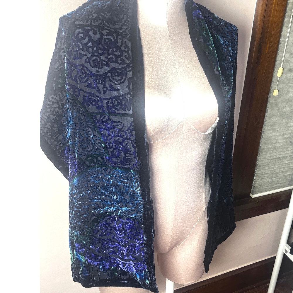 Chicos Silk Velvet Burnout Scarf Blue Black Floral Evening Wrap Whimsigoth Devor